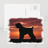 Zwarte Russische terger Briefkaart (Voorkant / Achterkant)