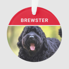Zwarte Russische Terriër Naam Hond Foto Kerstmis Ornament