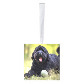 Zwarte Russische Terriër Twee Foto Kerstvakantie Decoratie (Rechts)