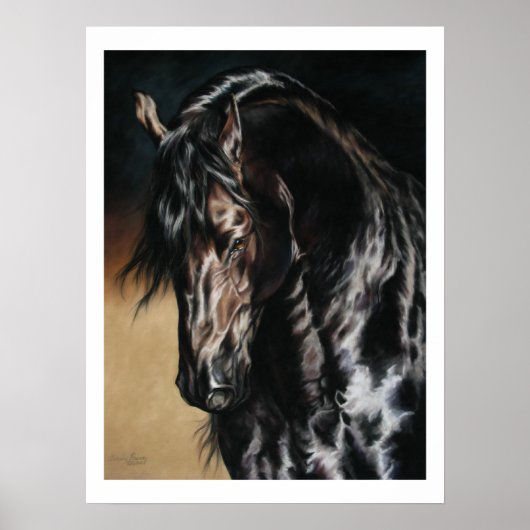 Zwarte Satin - afdruk Poster (Voorkant)