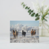 Zwarte schaap briefkaart (Staand voorkant)