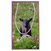 Zwarte Schaap Cadeautas (Achterkant)