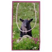 Zwarte Schaap Cadeautas (Voorkant)