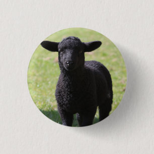 Zwarte Schaap - Knop Ronde Button 3,2 Cm