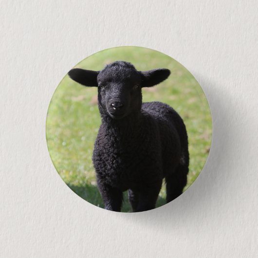 Zwarte Schaap - Knop Ronde Button 3,2 Cm (Voorkant)