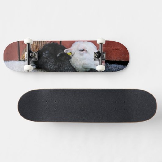 Zwarte schaap Witte schaap Persoonlijk Skateboard (Horizontaal)