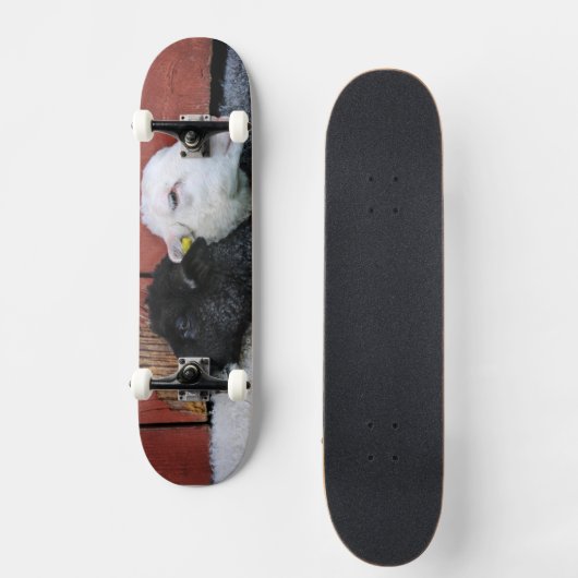 Zwarte schaap Witte schaap Persoonlijk Skateboard (Voorkant)