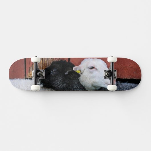 Zwarte schaap Witte schaap Persoonlijk Skateboard (Horizontaal)