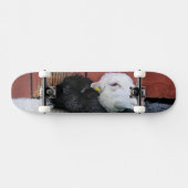 Zwarte Schaap Witte Schaap Skateboard (Horizontaal)