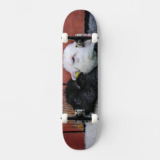 Zwarte Schaap Witte Schaap Skateboard (Voorkant)