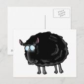 Zwarte schapen briefkaart (Voorkant / Achterkant)