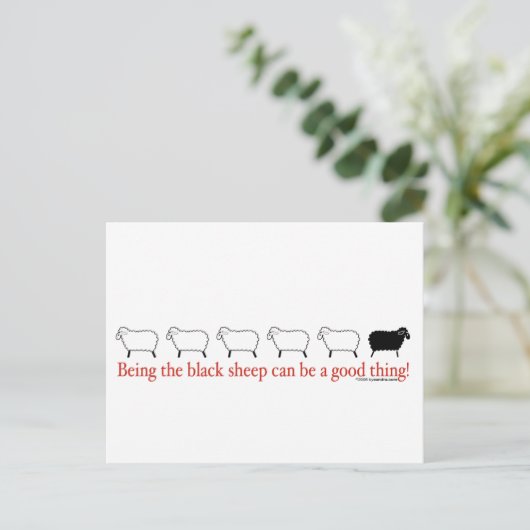 Zwarte schapen briefkaart (Staand voorkant)