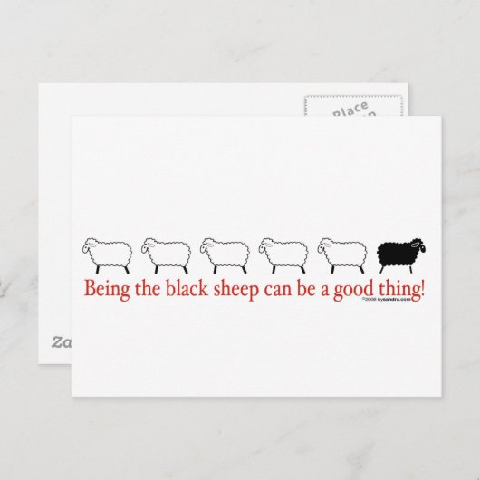 Zwarte schapen briefkaart (Voorkant / Achterkant)