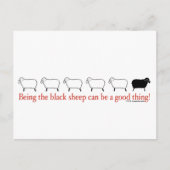 Zwarte schapen briefkaart (Voorkant)