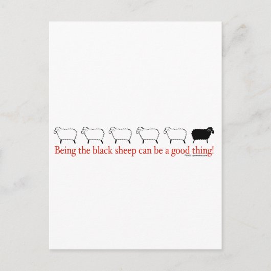 Zwarte schapen briefkaart (Voorkant)