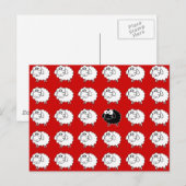 Zwarte schapen briefkaart (Voorkant / Achterkant)