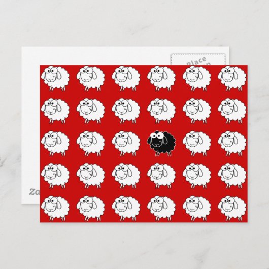 Zwarte schapen briefkaart (Voorkant / Achterkant)