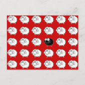 Zwarte schapen briefkaart (Voorkant)