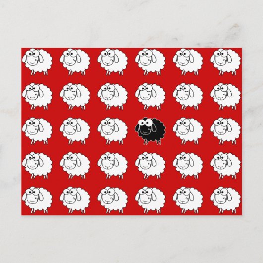 Zwarte schapen briefkaart (Voorkant)