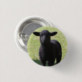 Zwarte schapen - Button (Voorkant /achterkant)