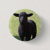 Zwarte schapen - Button (Voorkant)