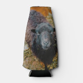 Zwarte schapen flesjeskoeler (Voorkant)
