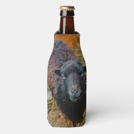 Zwarte schapen flesjeskoeler (Fles Voorkant)