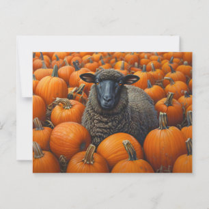 Zwarte schapen Herfst Pompoen Patch Briefkaart