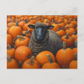 Zwarte schapen Herfst Pompoen Patch Briefkaart (Voorkant)