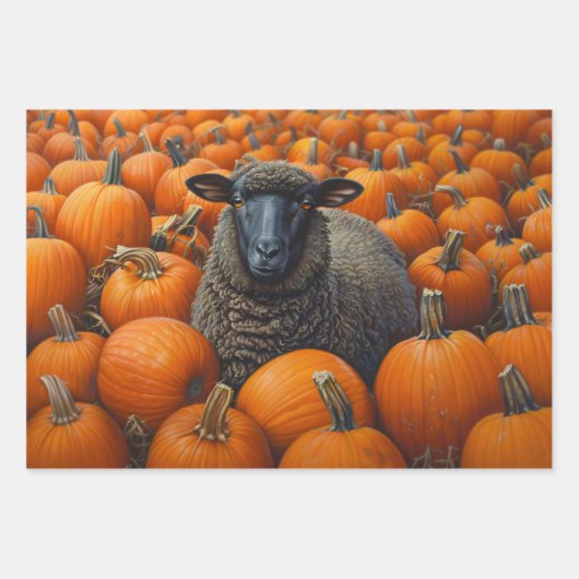 Zwarte schapen Herfst Pompoen Patch Decoupage Inpakpapier Vel (Voorkant 3)