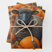 Zwarte schapen Herfst Pompoen Patch Decoupage Inpakpapier Vel (In situ)