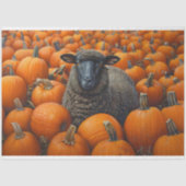Zwarte schapen Herfst Pompoen Patch Decoupage Tissuepapier (Voorkant)