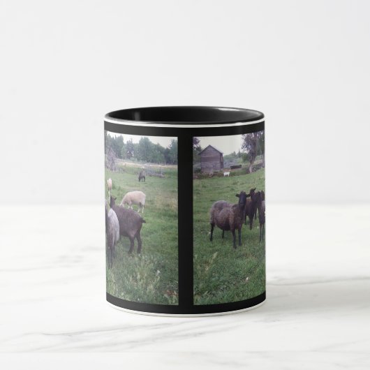 Zwarte schapen mok (Midden)