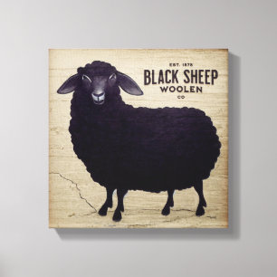 Zwarte Schapen Wol Co. Boerderij Canvas Afdruk