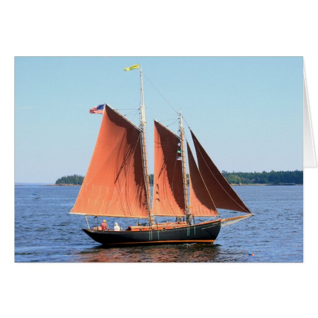 zwarte schoenmaker met rode zeilen (Voorkant Horizontaal)
