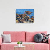 Zwarte Scholekster Zie, Zwarte Scholekster Doe Canvas Afdruk (Insitu (Woonkamer))