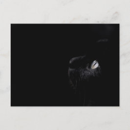 Zwarte schoonheid - Briefkaart