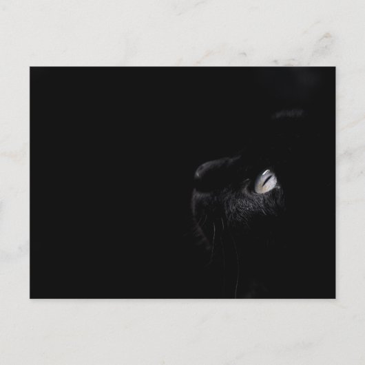 Zwarte schoonheid - Briefkaart (Voorkant)