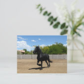 zwarte schoonheid briefkaart (Staand voorkant)