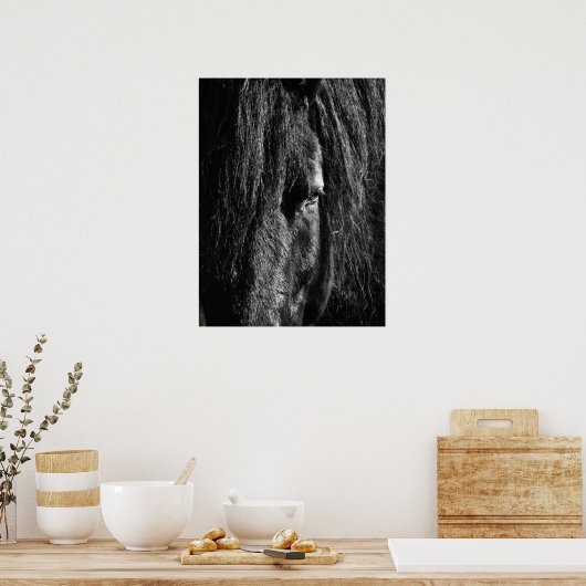 Zwarte schoonheid - Poster (Keuken)