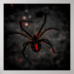 zwarte schoonheid poster