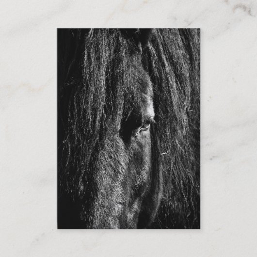 Zwarte schoonheid - Visitekaartje (Voorkant)