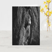 Zwarte schoonheid - Wenskaart Kaart (Gele Bloem)