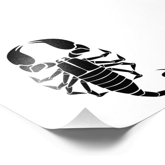 zwarte schorpioen foto afdruk (Hoek)