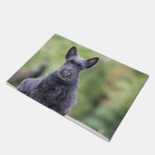 Zwarte Schotse terrier Deurmat (Schuin)