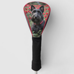 Zwarte Schotse terriër in rode rozen, Golfheadcover