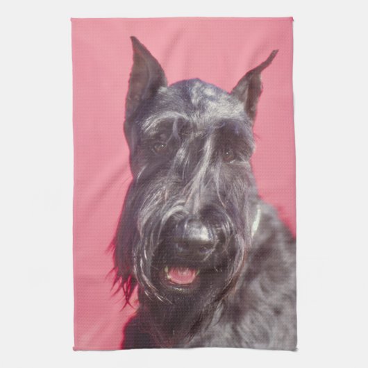 Zwarte Schotse terrier Kitchen Towel Theedoek (Verticaal)