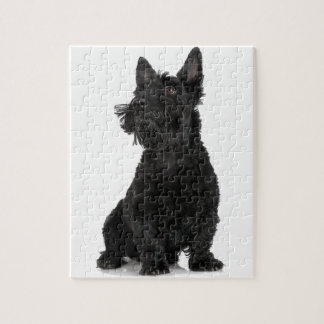 Zwarte Schotse terrier Legpuzzel