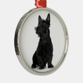 Zwarte Schotse terrier Metalen Ornament (Rechts)