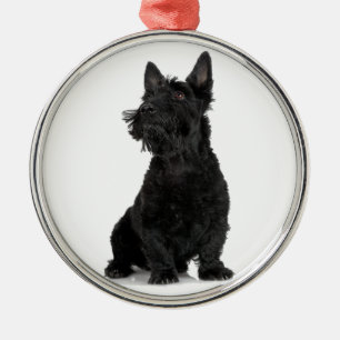 Zwarte Schotse terrier Metalen Ornament